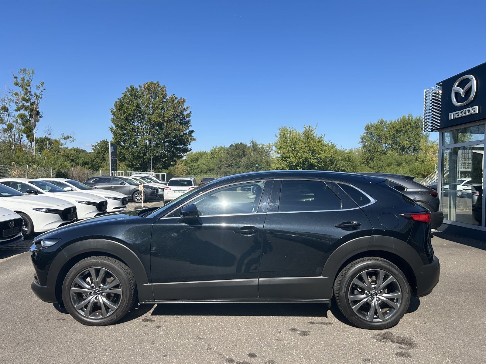 Mazda CX-30 L SKYACTIV-X 2.0 SELECTION DES-P PRE-P foto 4