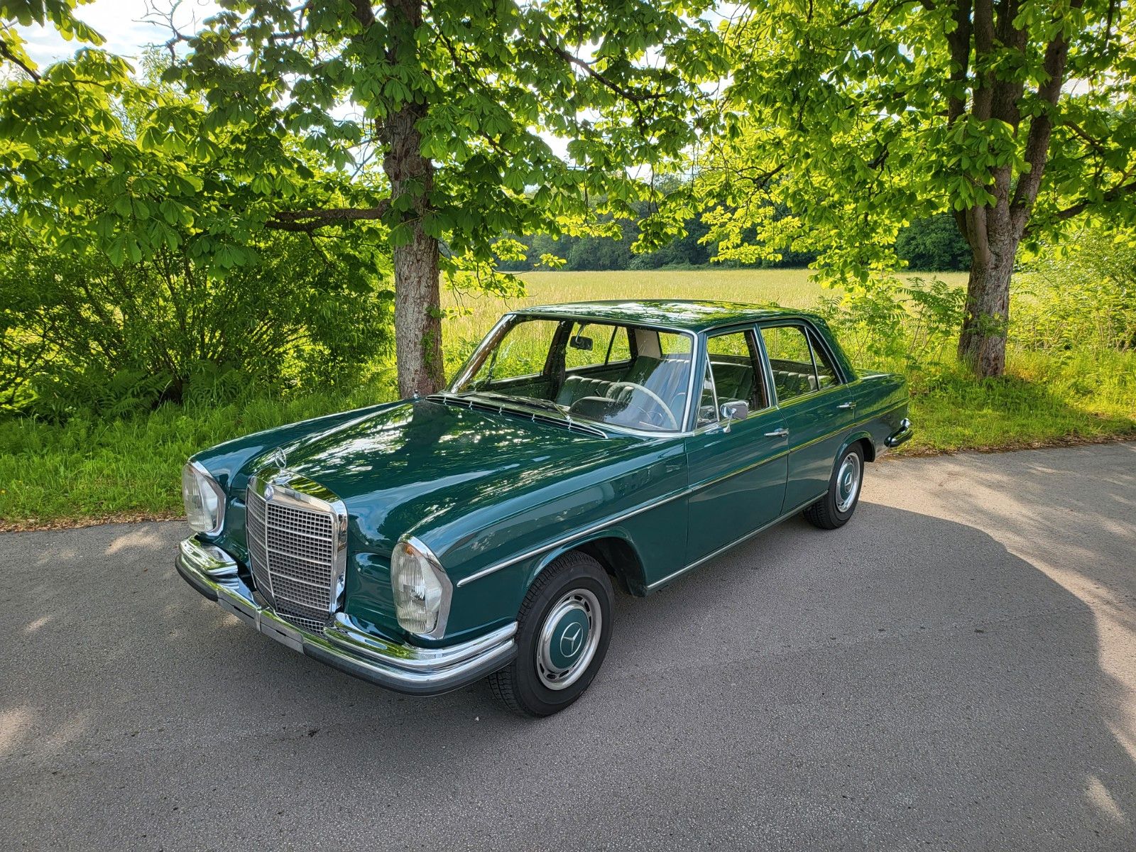 Mercedes-Benz 250 S foto 2