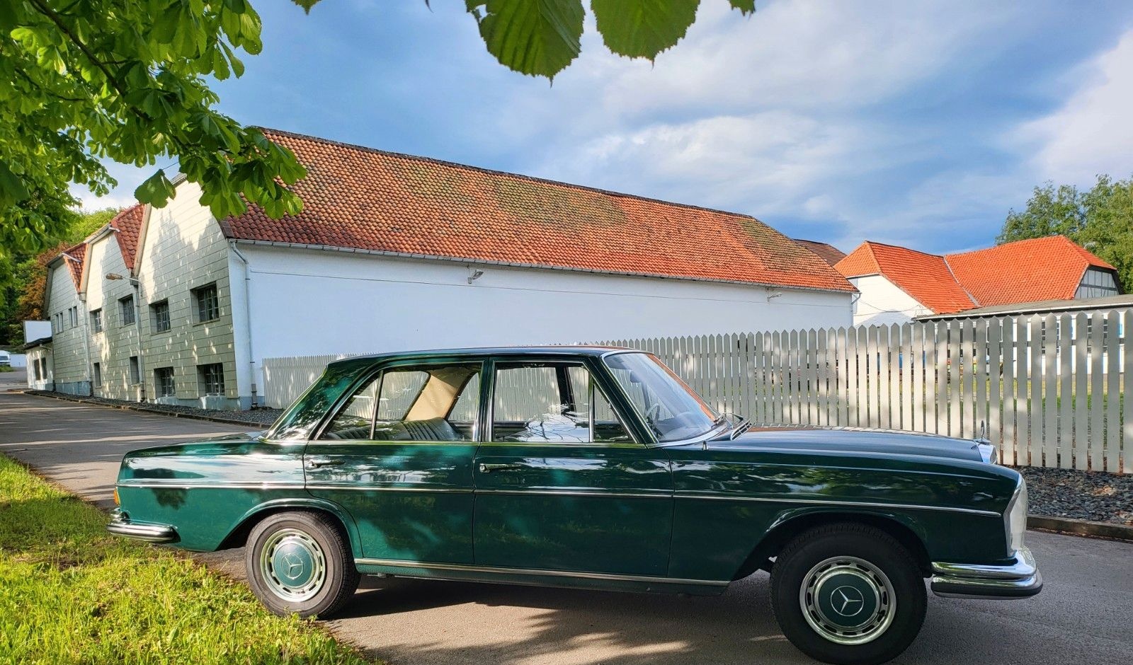 Mercedes-Benz 250 S foto 14