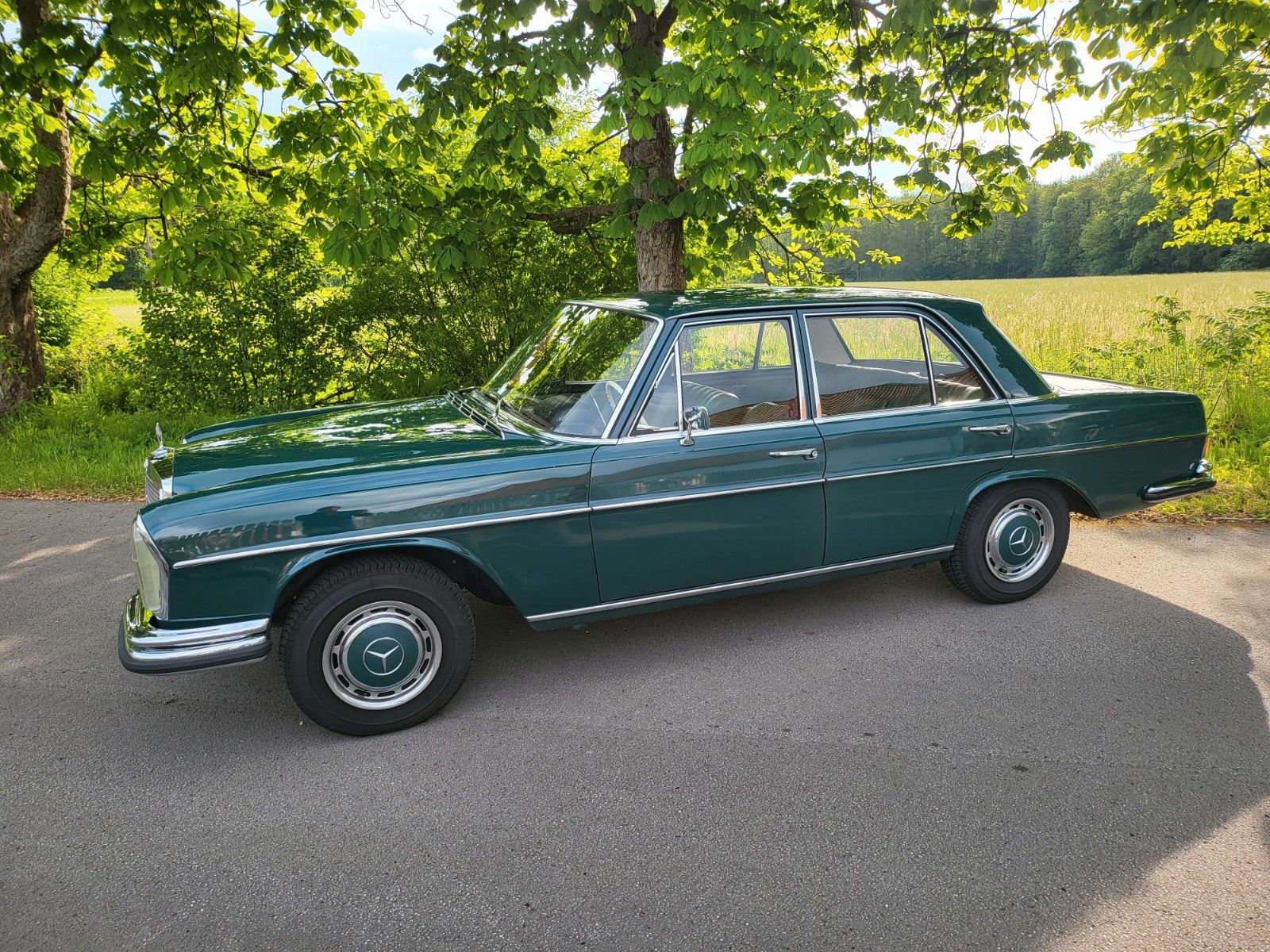 Mercedes-Benz 250 S foto 3