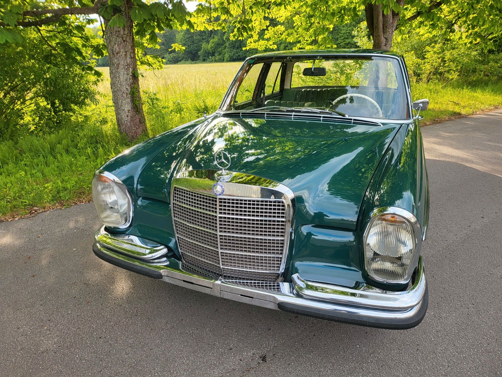 Mercedes-Benz 250 S foto 6