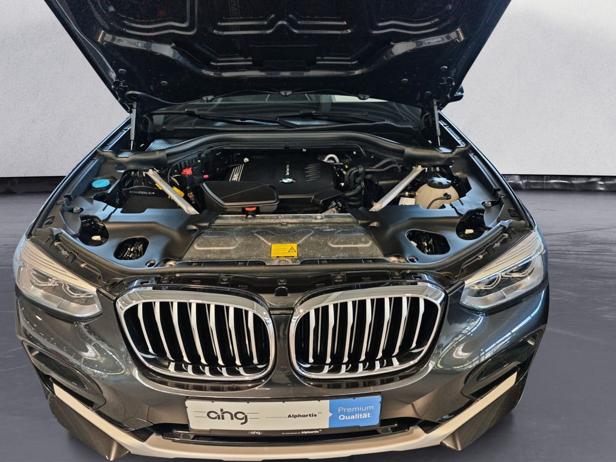 BMW X4 xDrive20d AT xLine Navi Business AHK Kamera foto 16