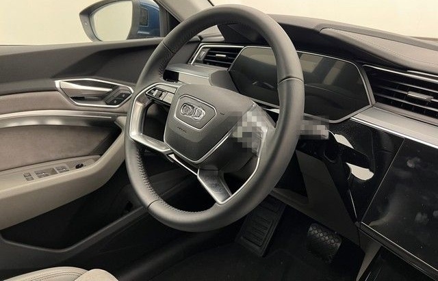 Audi e-tron 50 Quattro advanced TechnoMatrixAHK foto 4
