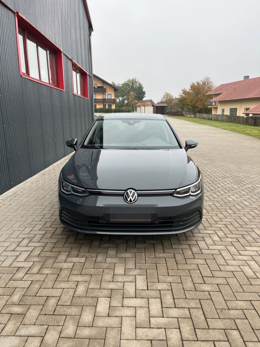 Volkswagen Golf VIII Lim. United LED*NAVI*STANDH.*SHZ foto 2