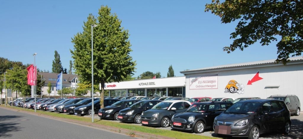 Volkswagen Golf VIII Lim. Life 2,0 TDI Business Premium foto 25