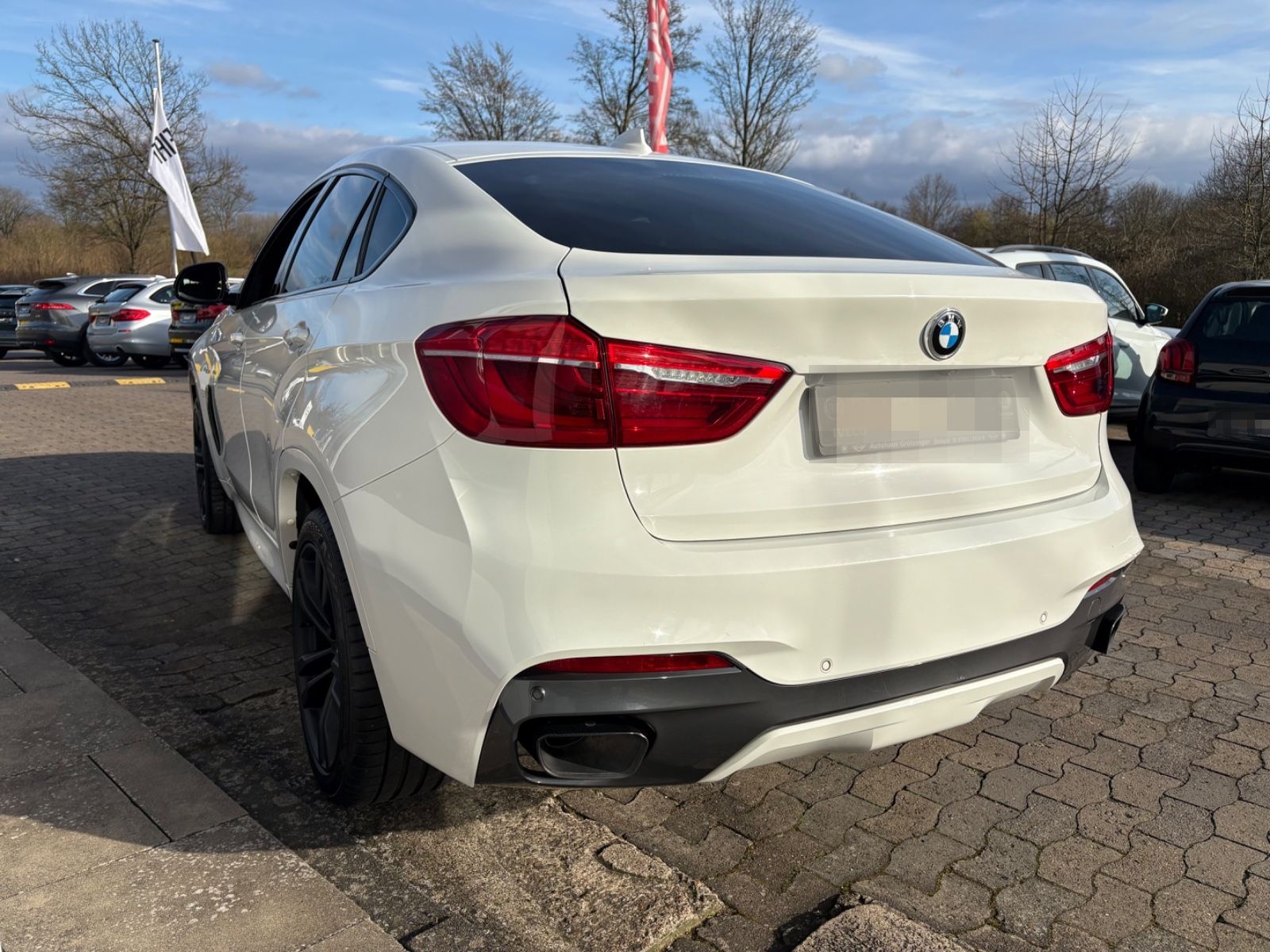 BMW X6 M50 d AHK HUD H&KRFK 360° AT Motor uvm. foto 11