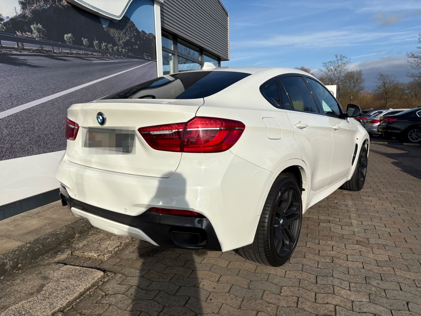 BMW X6 M50 d AHK HUD H&KRFK 360° AT Motor uvm. foto 7