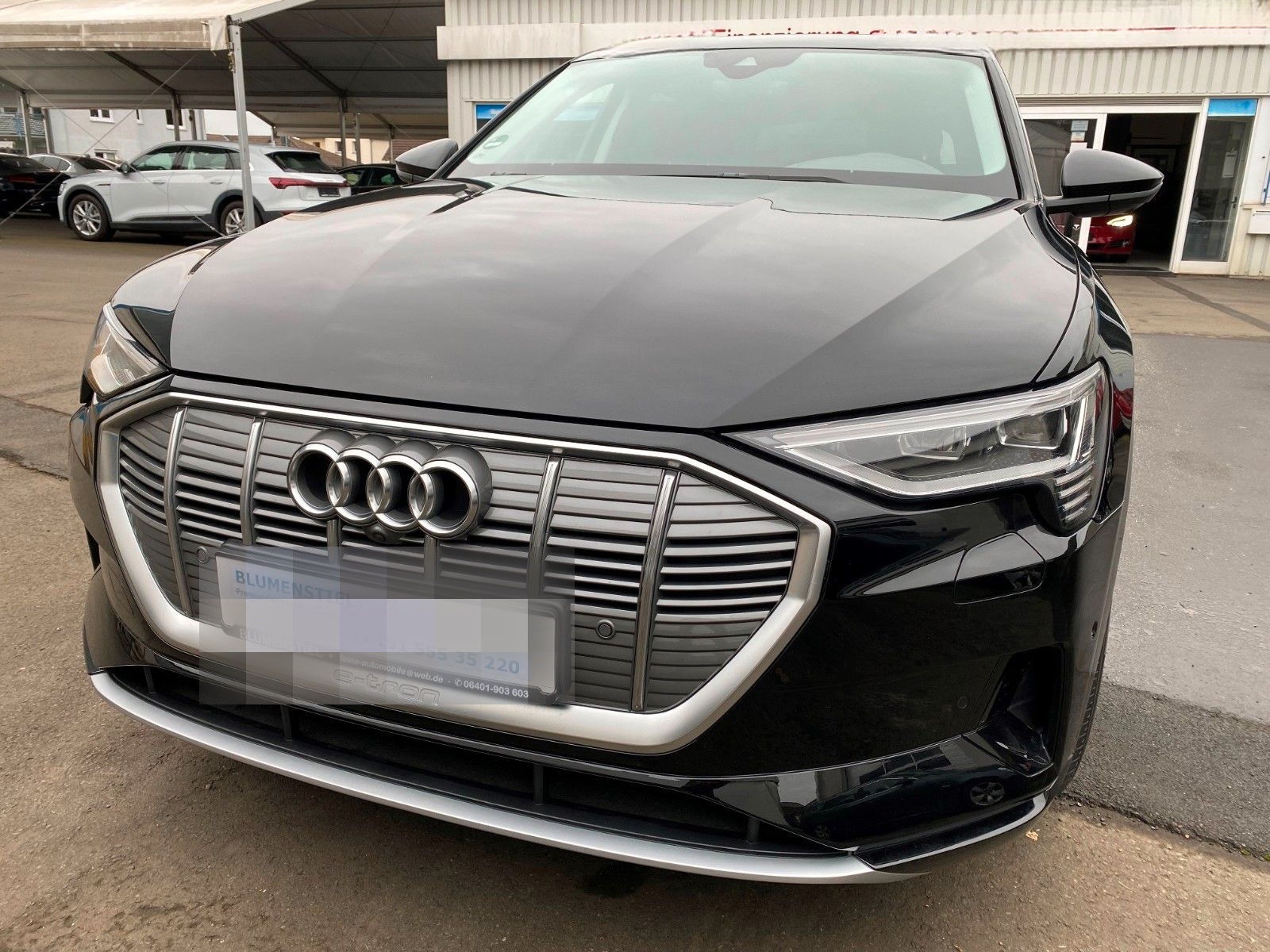 Audi e-tron55+Radar+Matrix+Panodach+Virtual+360Kamera foto 12