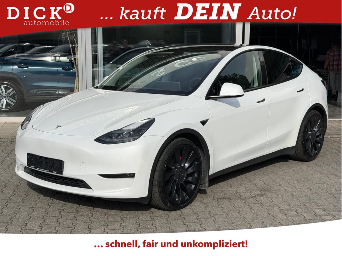 Tesla Model Y LR Dual AWD PERFORM PANO STDHZ NAVI ACC