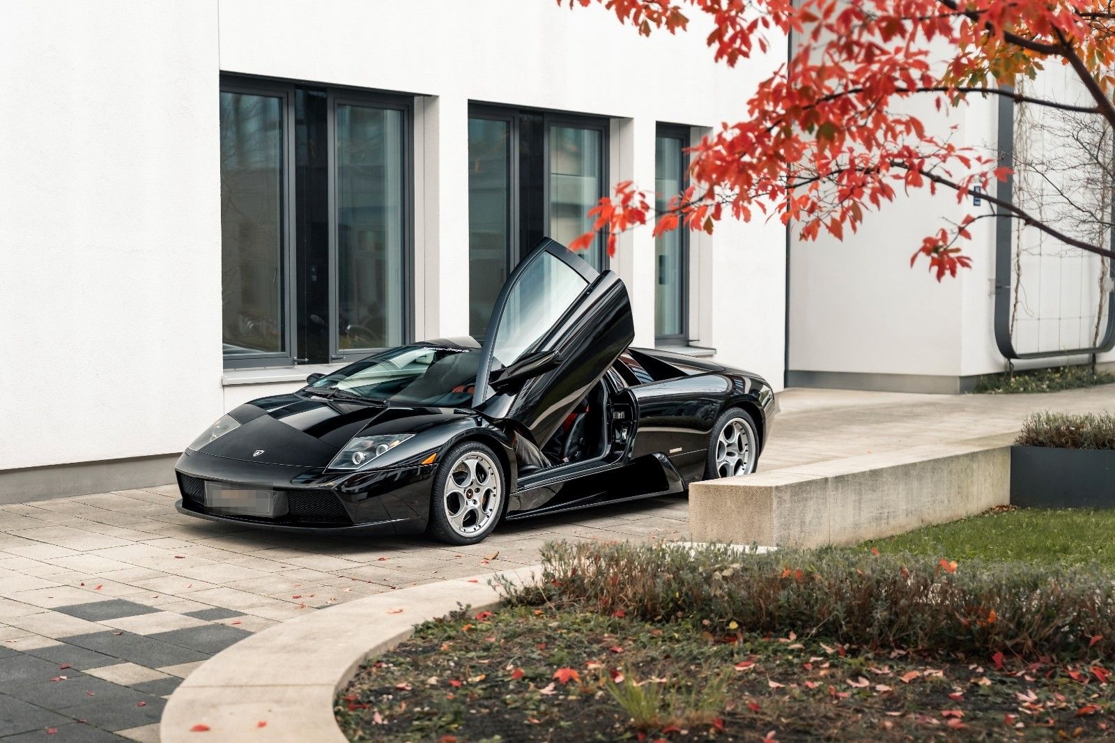 Lamborghini Murciélago 6.2 //6-SPEED-MANUAL//CARBON//LIFT foto 15
