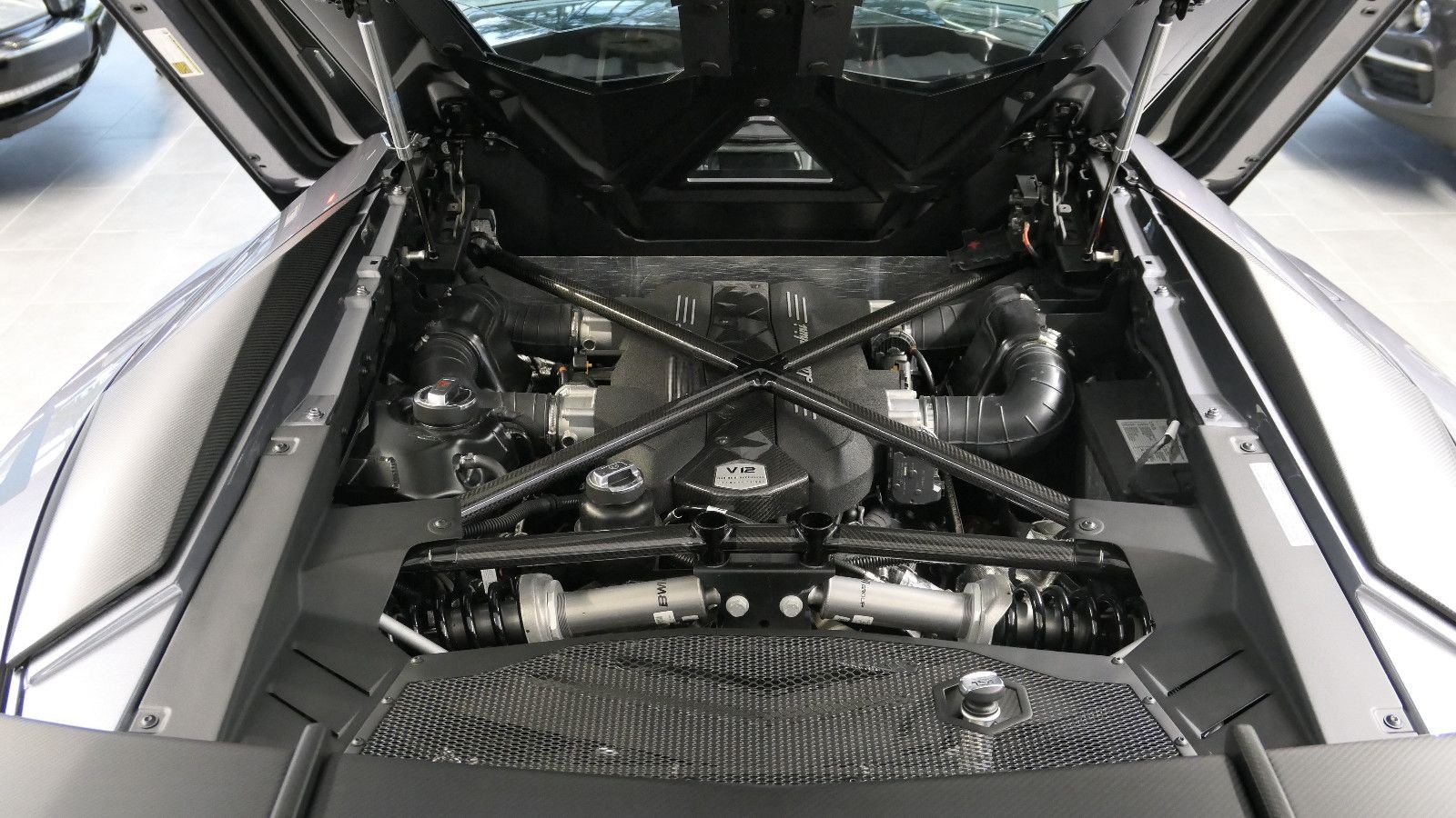 Lamborghini Aventador SV Roadster 1of 500 Lift/Carbon foto 15