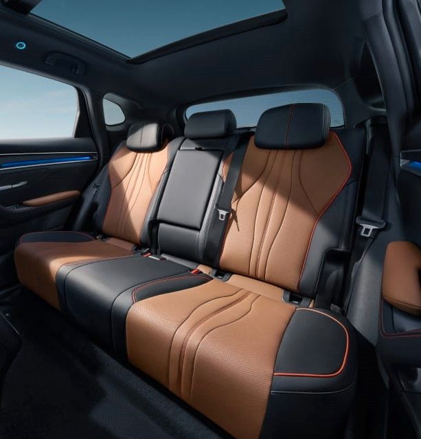 BYD SEAL U DM-i Design* Kamera* Klima*Panoramadach foto 9