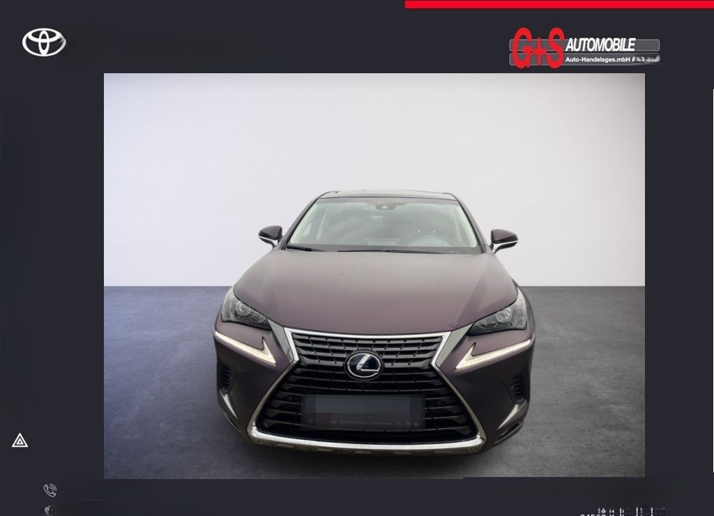 Lexus NX 300h E-FOUR Launch Edition foto 5