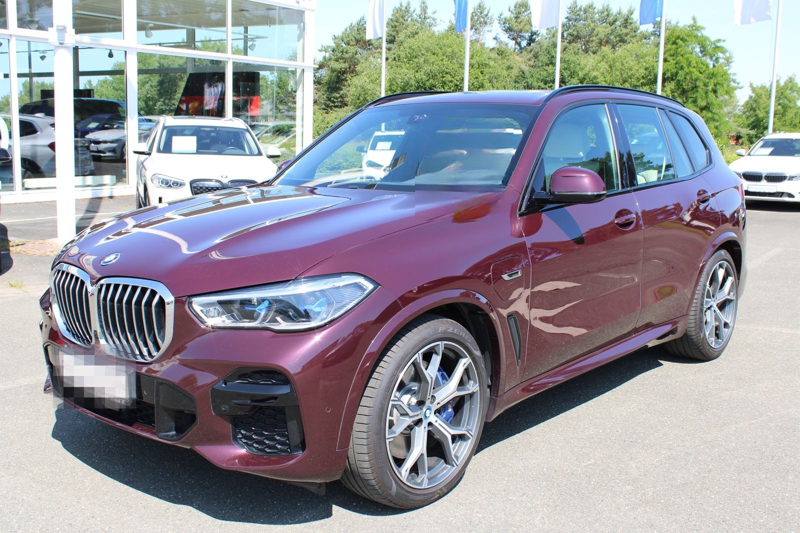 BMW X5 xDrive45e M Sportpaket AHK HiFi foto 2