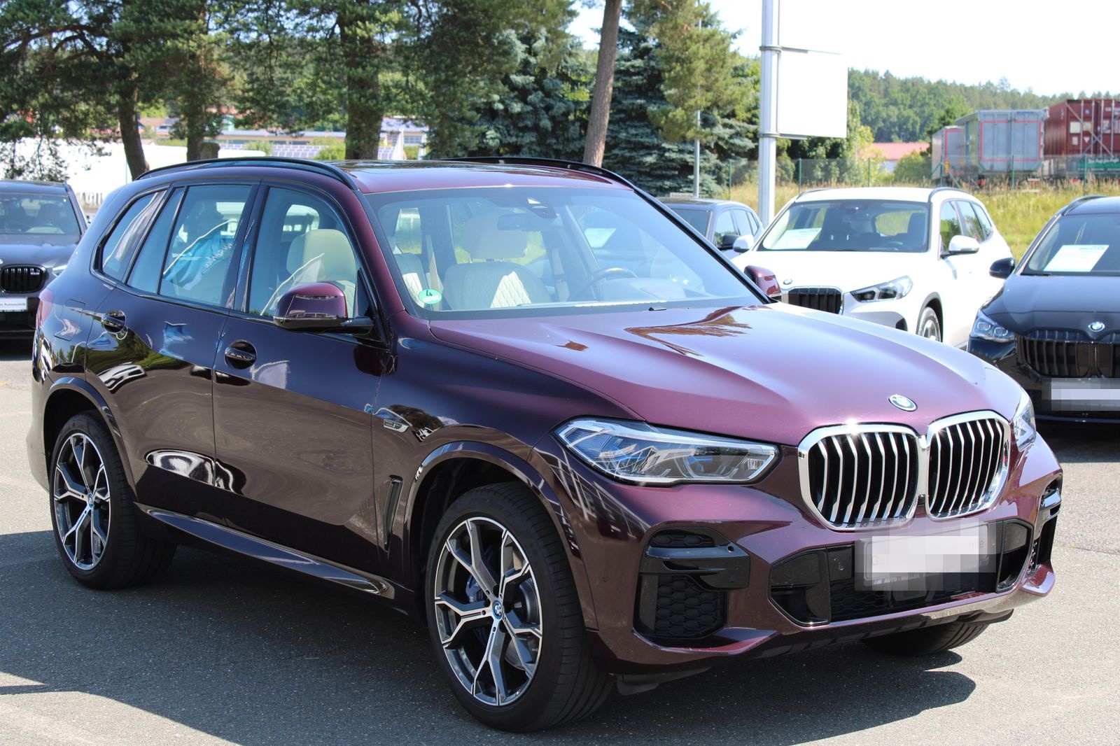 BMW X5 xDrive45e M Sportpaket AHK HiFi foto 3