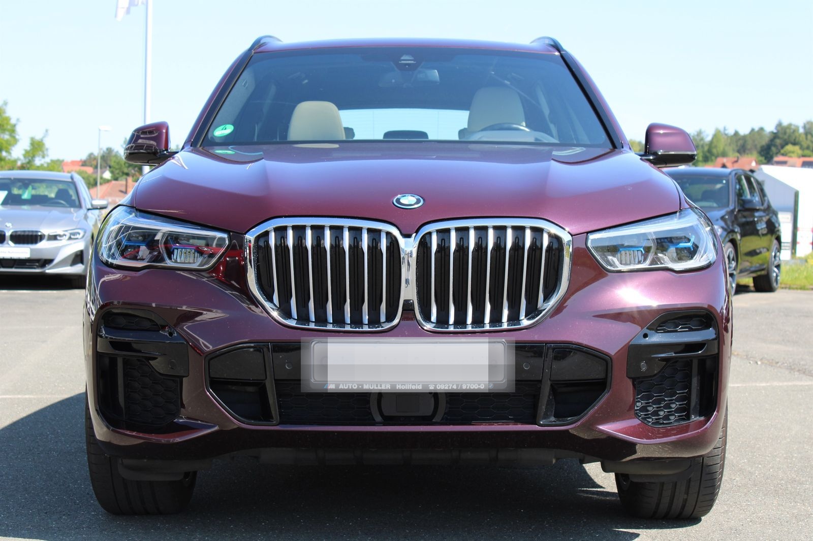 BMW X5 xDrive45e M Sportpaket AHK HiFi foto 4