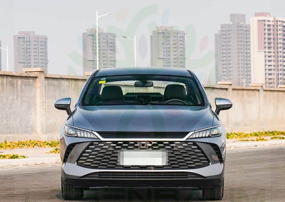 BYD Other - Qin Plus 55 DMI - LEADER foto 2