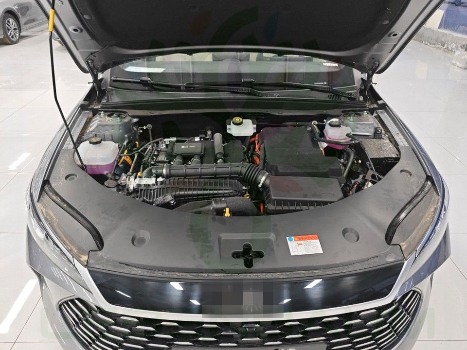 BYD Other - Qin Plus 55 DMI - LEADER foto 16