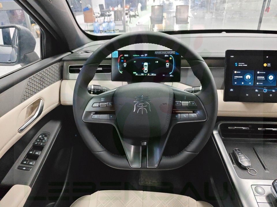 BYD Other - Qin Plus 55 DMI - LEADER foto 18