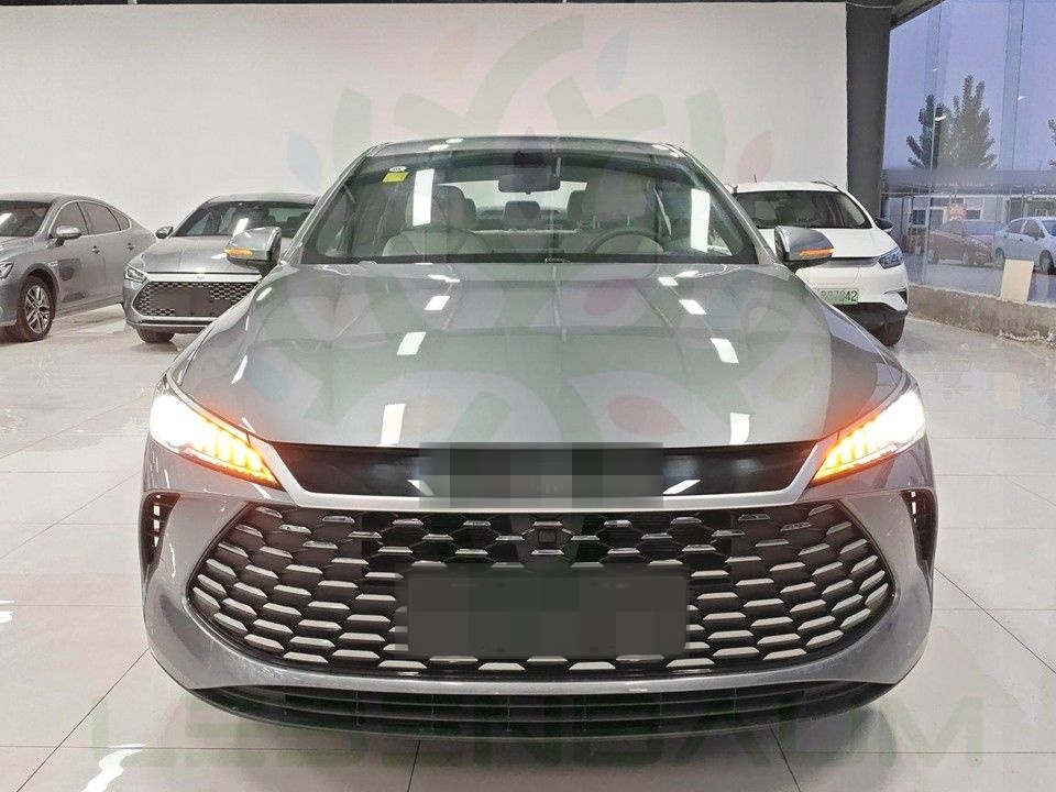 BYD Other - Qin Plus 55 DMI - LEADER foto 10