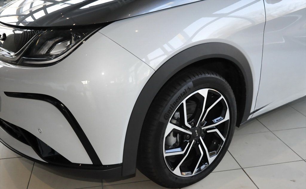 BYD Dolphin Design Panorama 360°-Kamera Keyless LED foto 3