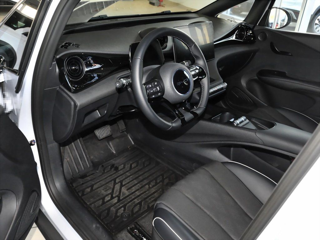 BYD Dolphin Design Panorama 360°-Kamera Keyless LED foto 9