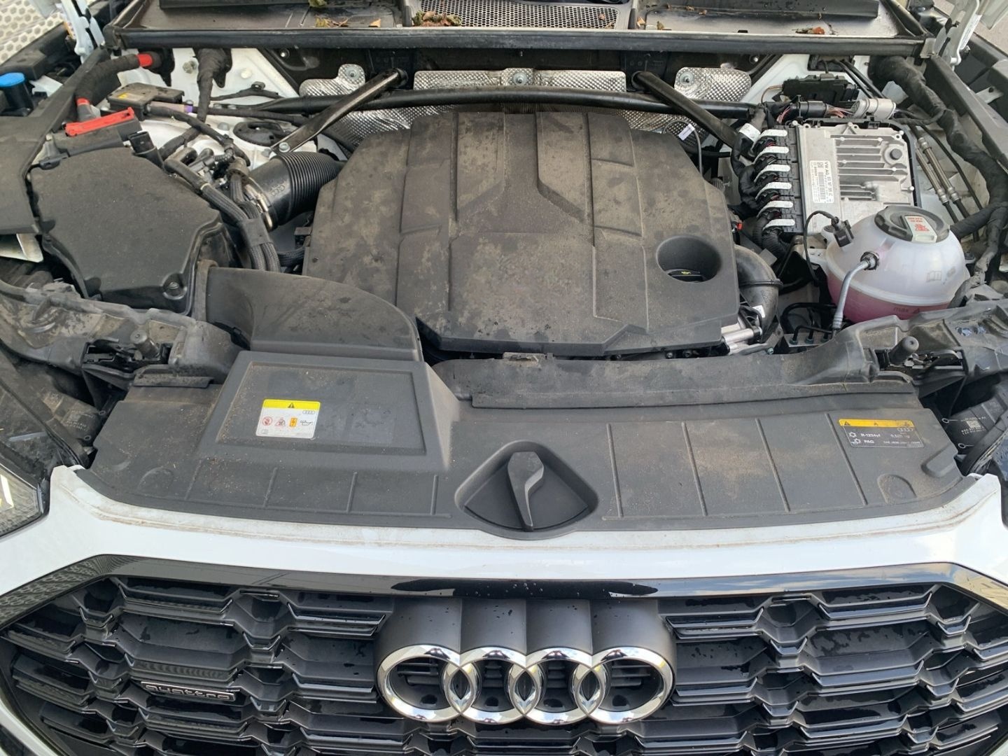 Audi Q5 quattro 50 TDI quattroS tronic  S line Luftfe foto 16