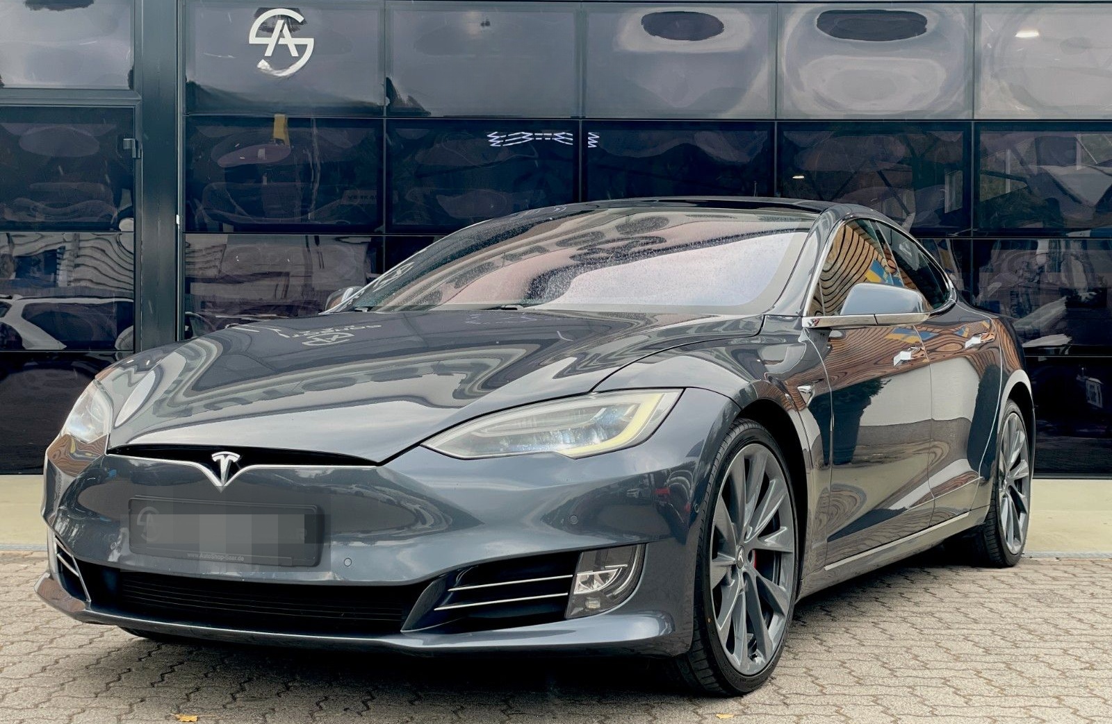 Tesla Model S Performance 100D Panorama 21 Zoll