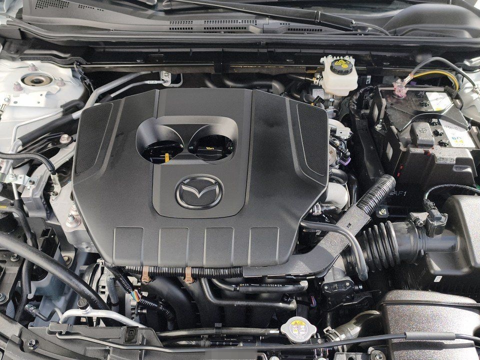 Mazda 3 2.5L e-SKYACTIV G 140ps 6AT FWD Homura foto 14