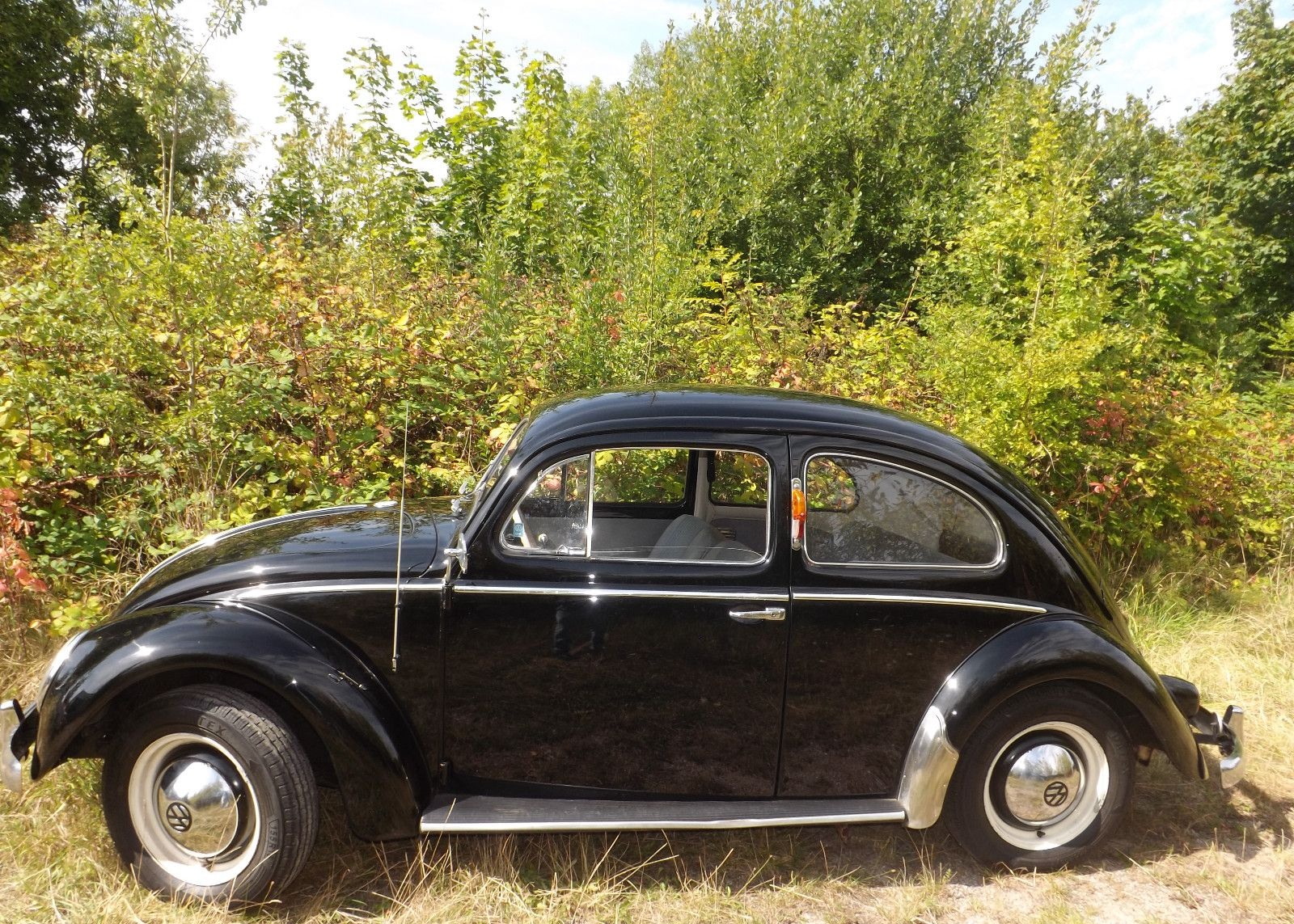 Volkswagen Käfer-in seltener & attraktiver Farbkombination! foto 3