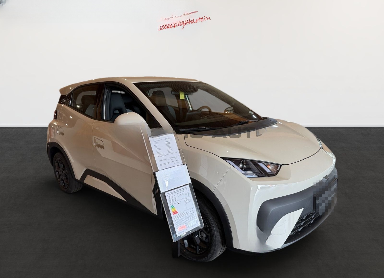 BYD Dolphin Surf Boost 43kWh KAMERA CARPLAY NAVI ALU foto 2