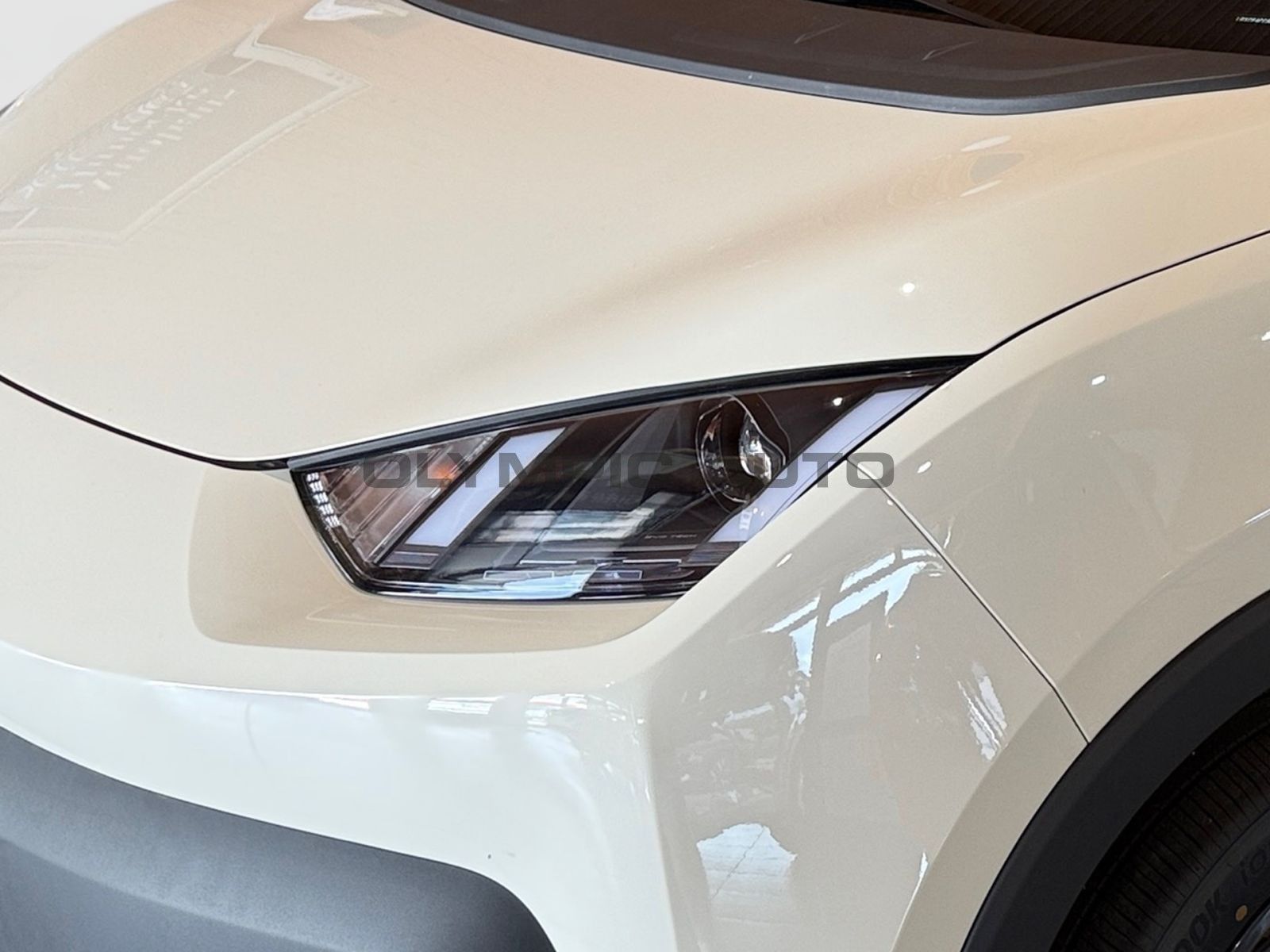 BYD Dolphin Surf Boost 43kWh KAMERA CARPLAY NAVI ALU foto 5