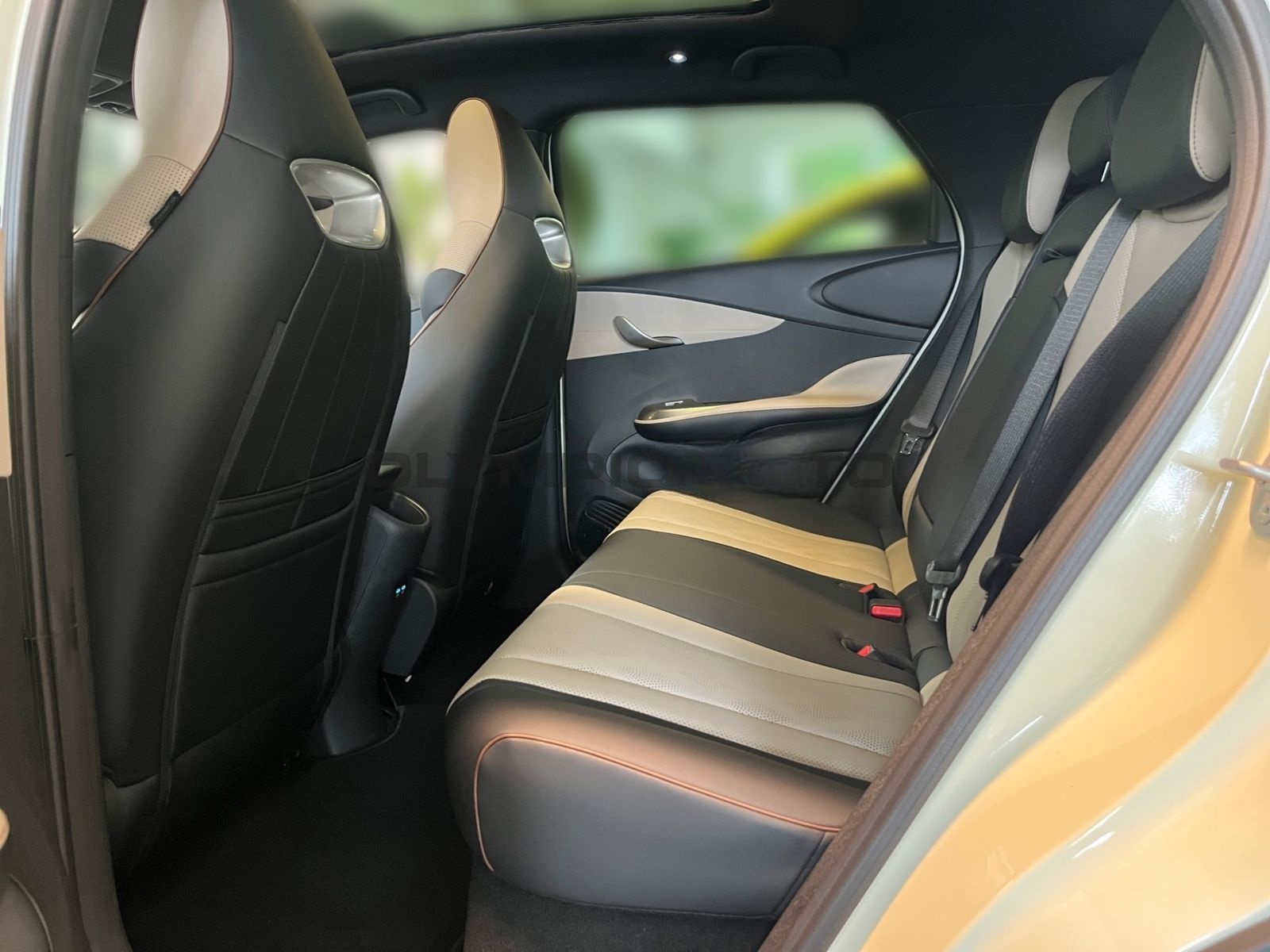 BYD Dolphin Design 60kWh SITZHZG PANORAMA 360°KAMERA foto 11