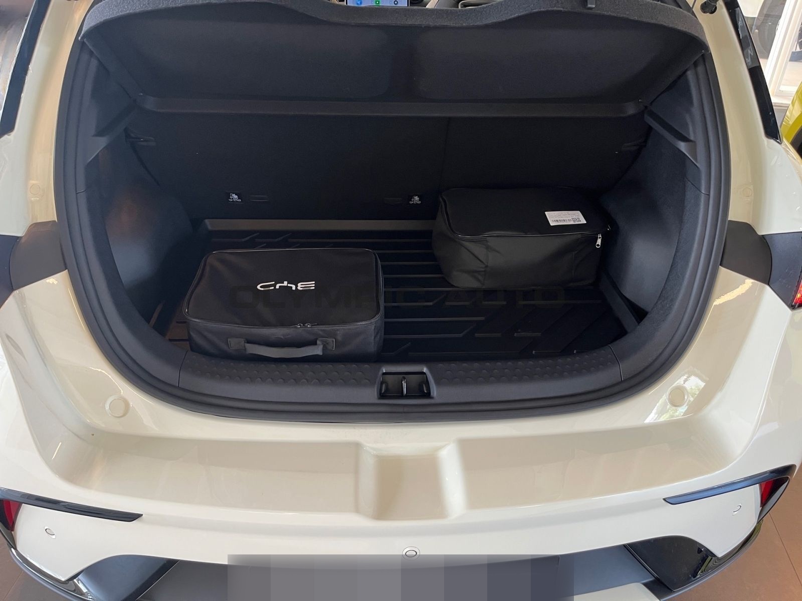 BYD Dolphin Design 60kWh SITZHZG PANORAMA 360°KAMERA foto 12