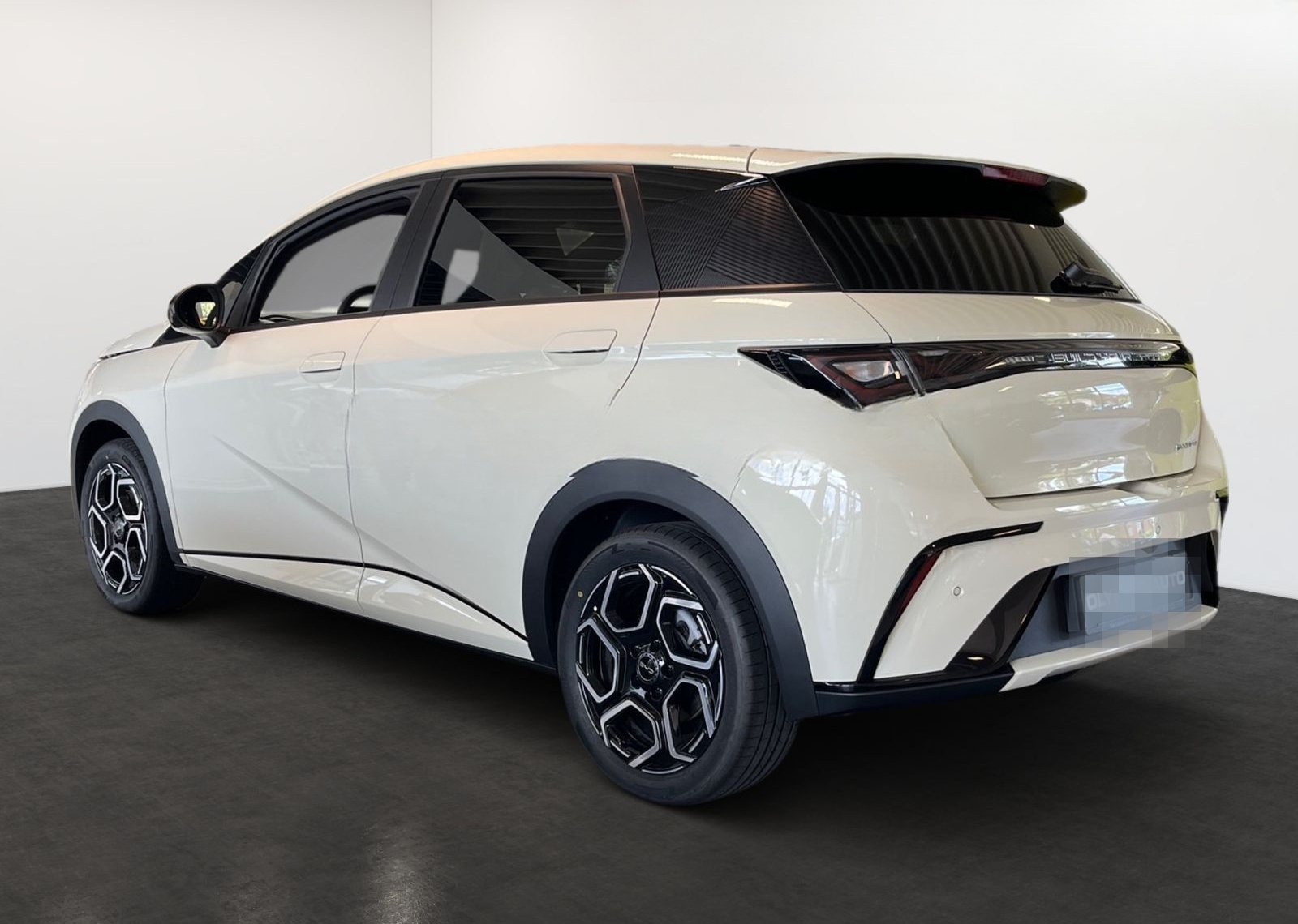 BYD Dolphin Design 60kWh SITZHZG PANORAMA 360°KAMERA foto 4