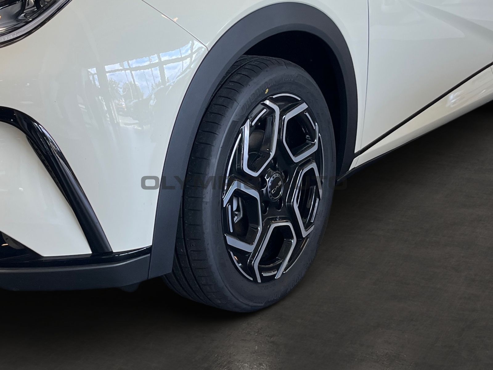 BYD Dolphin Design 60kWh SITZHZG PANORAMA 360°KAMERA foto 6