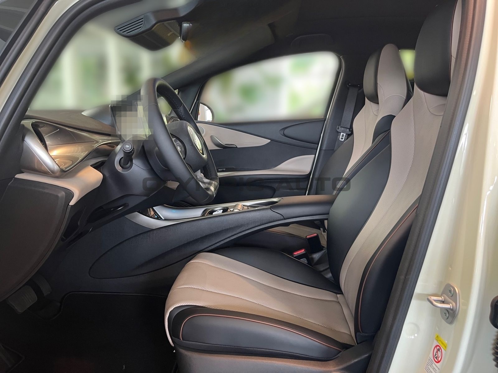 BYD Dolphin Design 60kWh SITZHZG PANORAMA 360°KAMERA foto 7