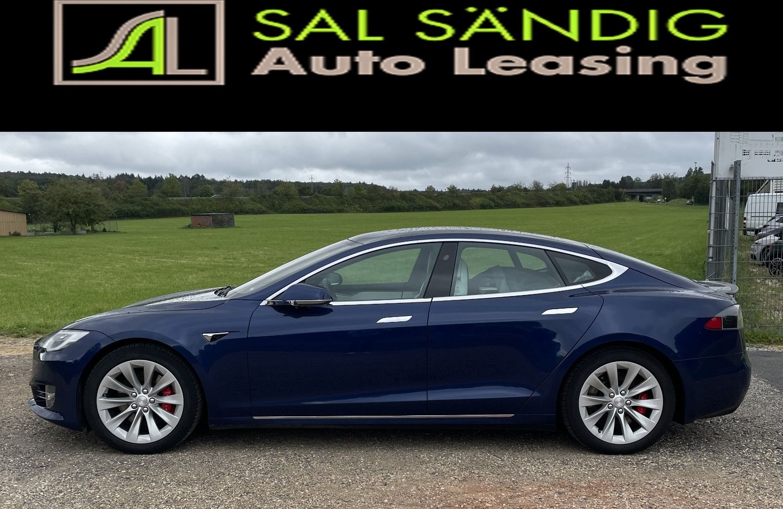 Tesla Model S Performance SOH 89% foto 2