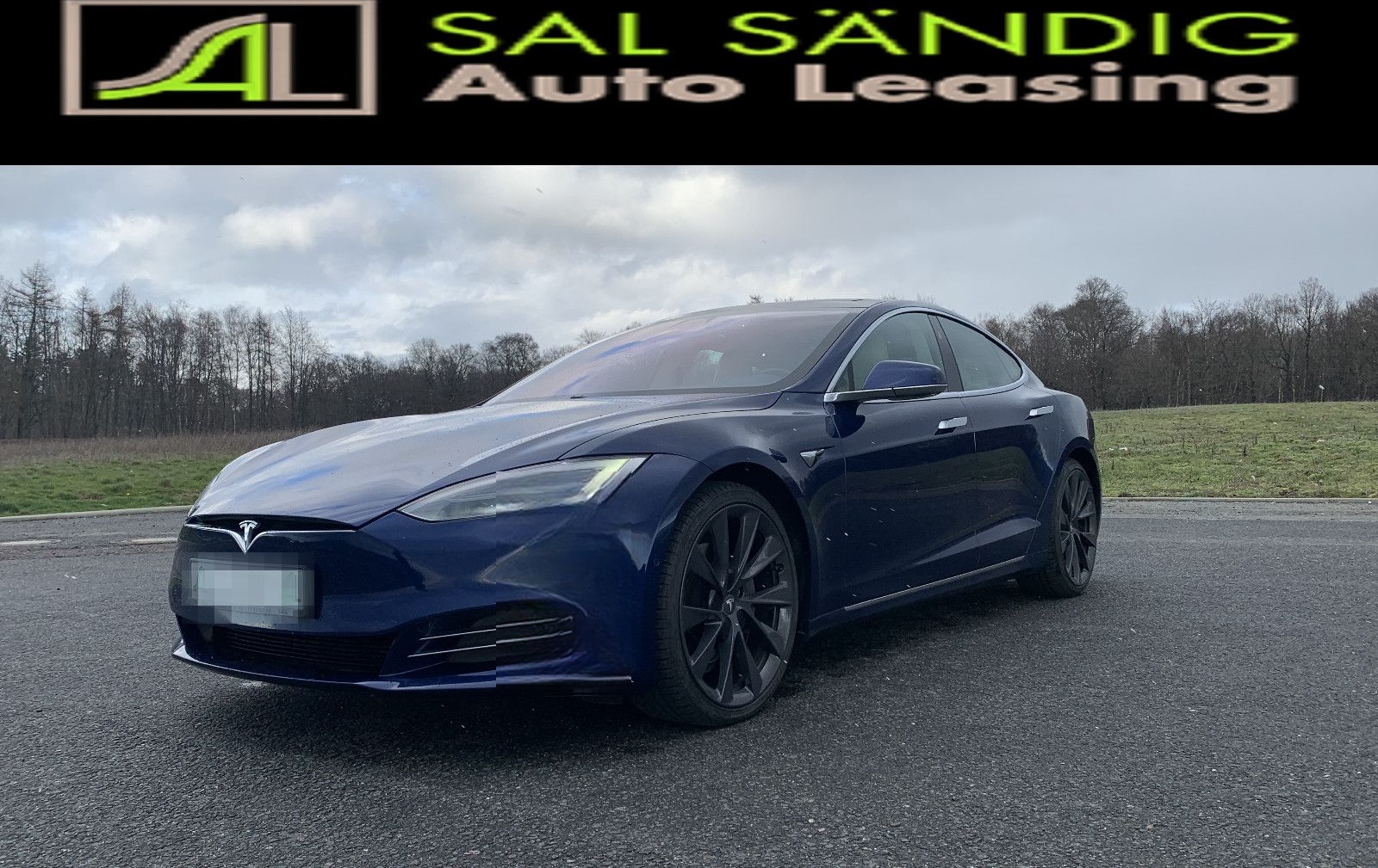 Tesla Model S 100D Longe Range SOH 88%