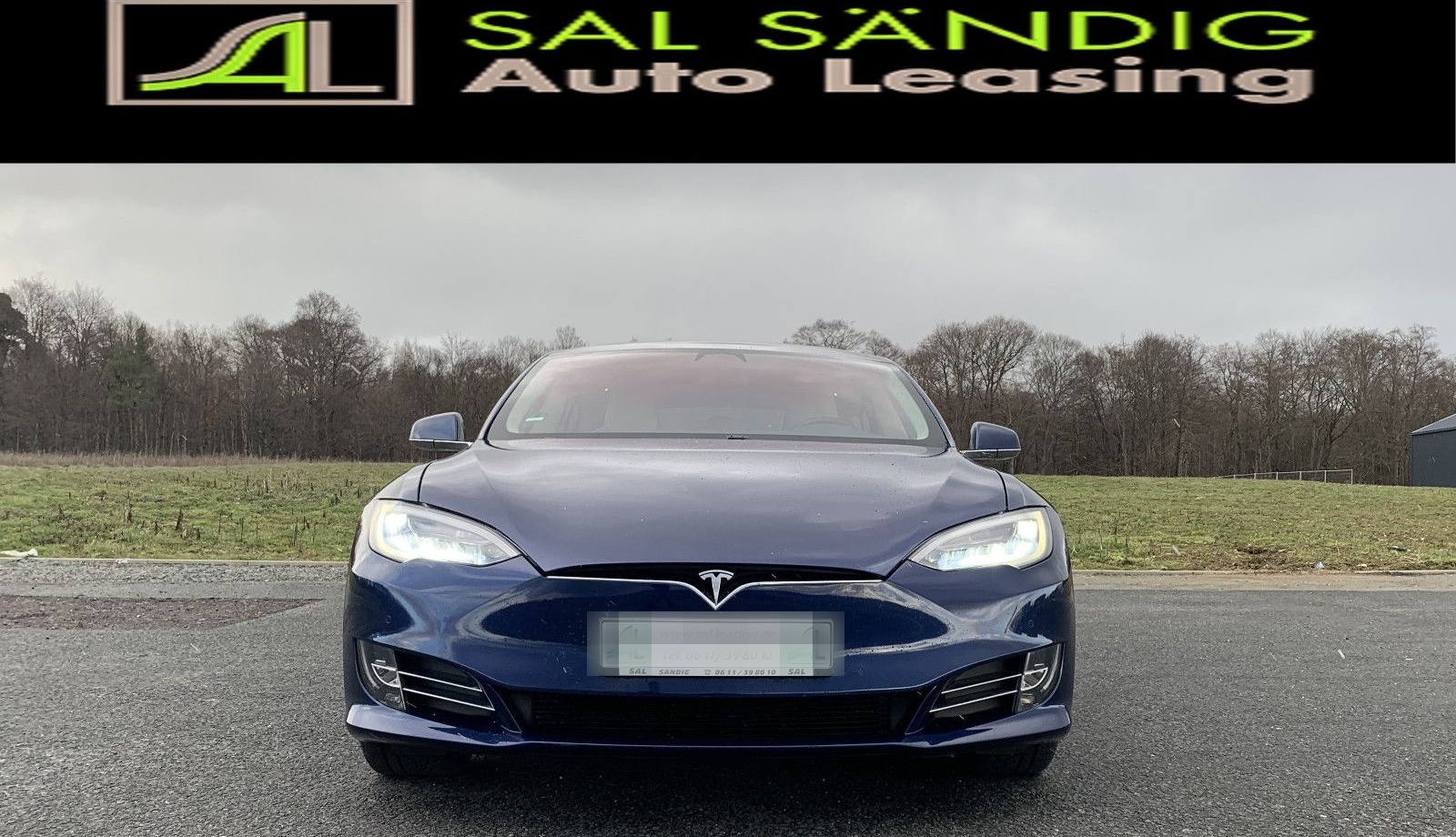 Tesla Model S 100D Longe Range SOH 88% foto 2
