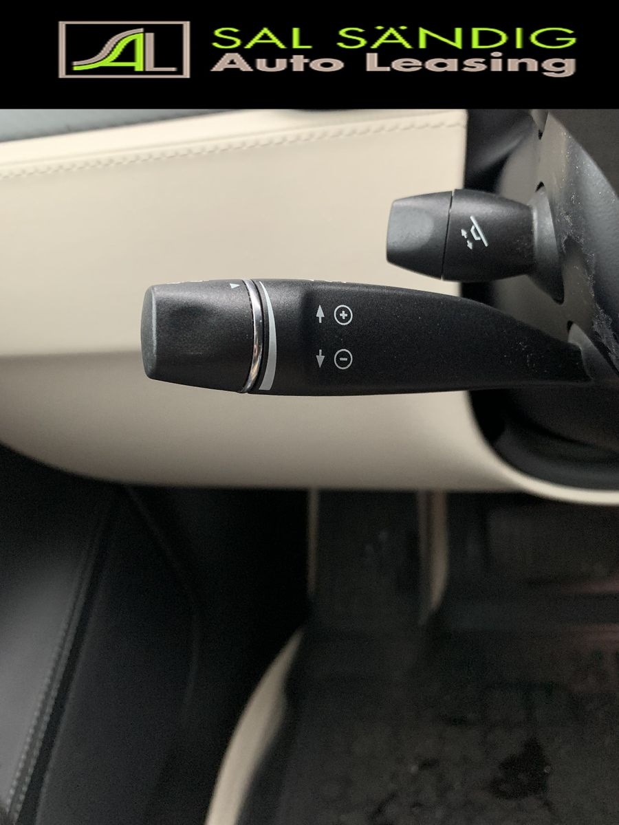Tesla Model S 100D Longe Range SOH 88% foto 11