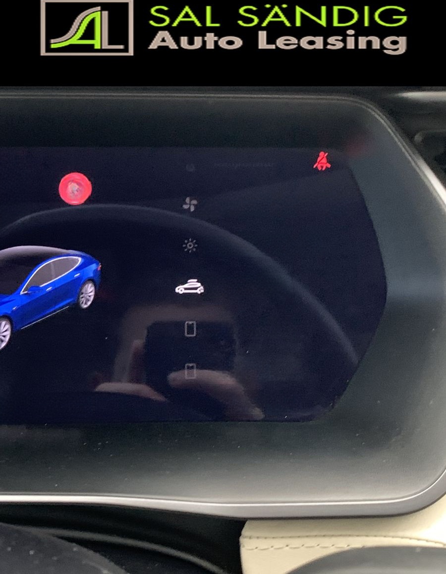 Tesla Model S 100D Longe Range SOH 88% foto 15