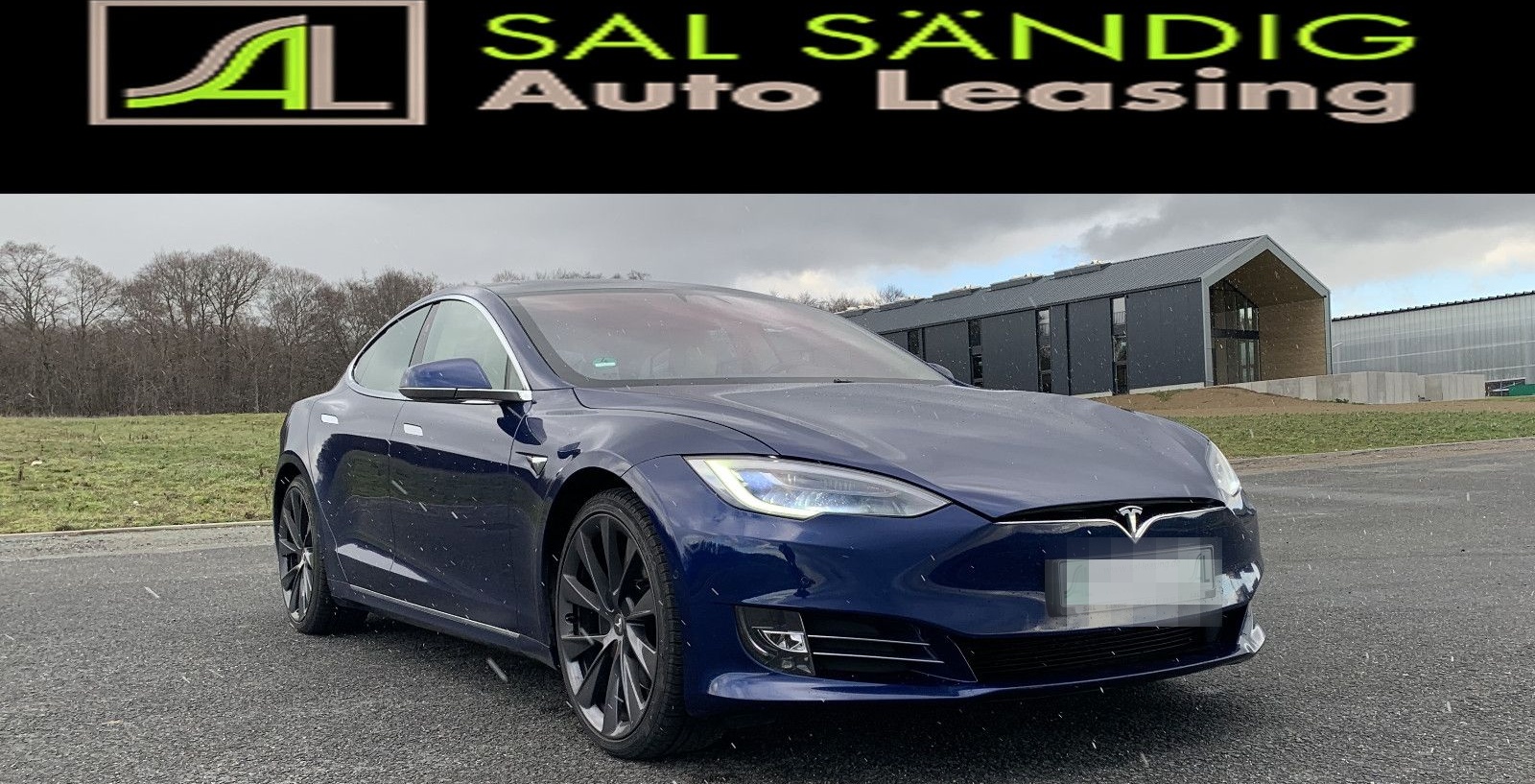 Tesla Model S 100D Longe Range SOH 88% foto 3