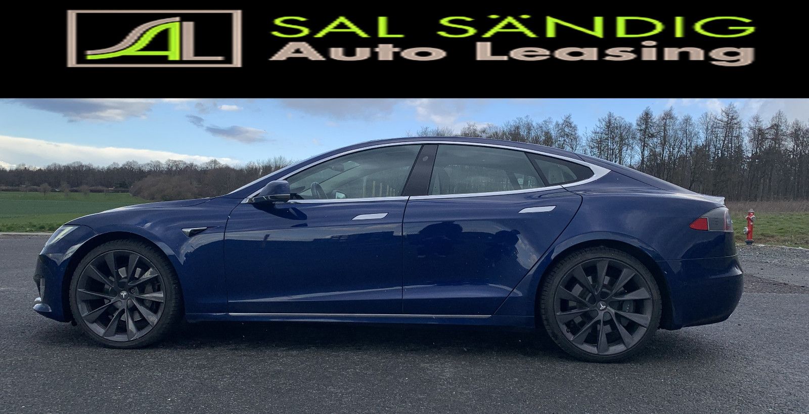 Tesla Model S 100D Longe Range SOH 88% foto 8