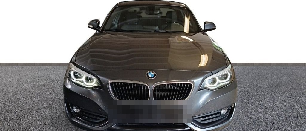 BMW 218 d Coupe Advantage SHZ Navi LED PDC Keyless K foto 10