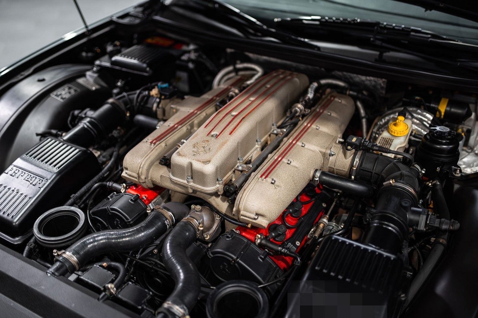 Ferrari 550 Maranello foto 11