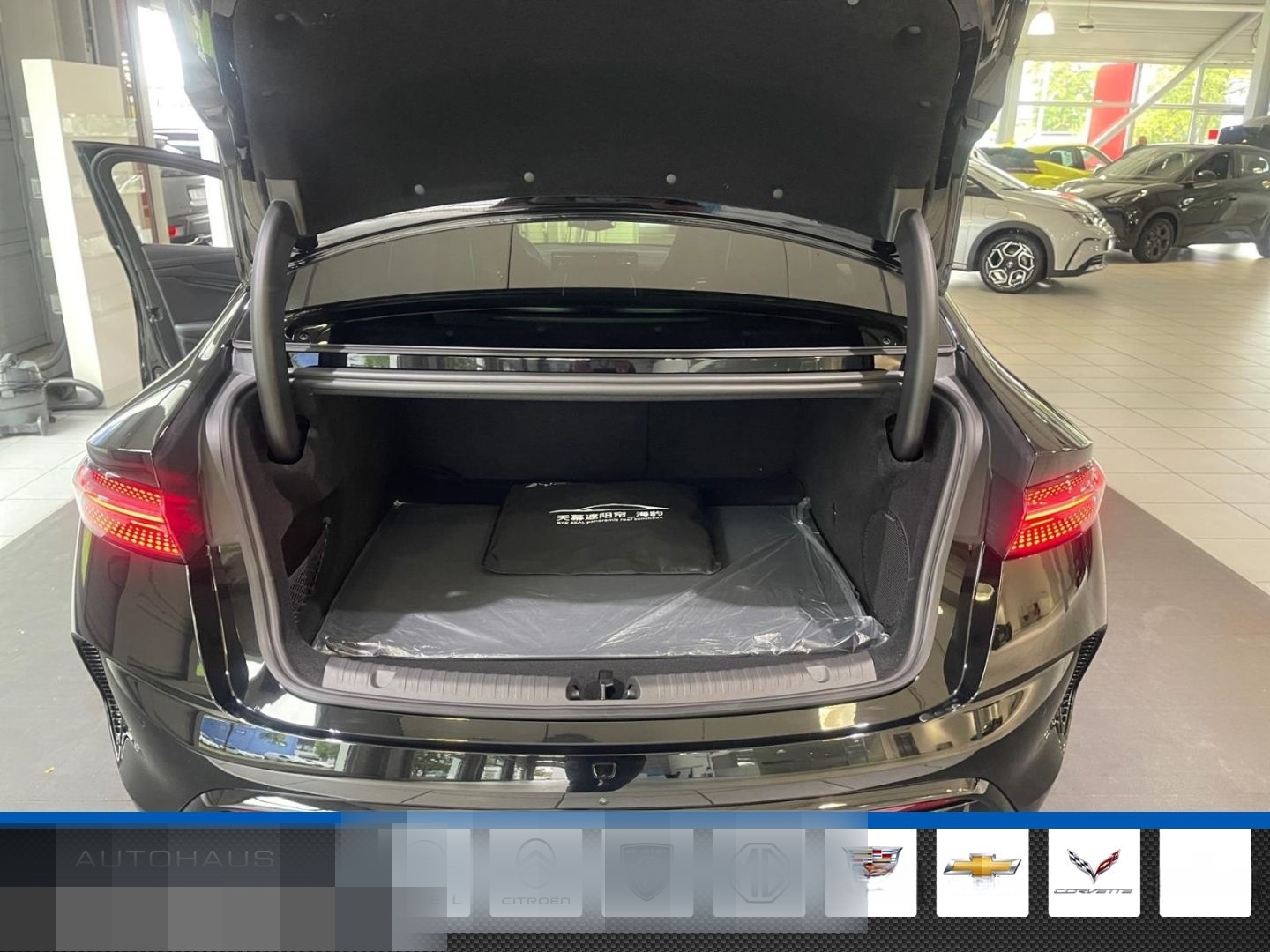 BYD Seal Design Pano 360°Cam Soundsystem Voll foto 11