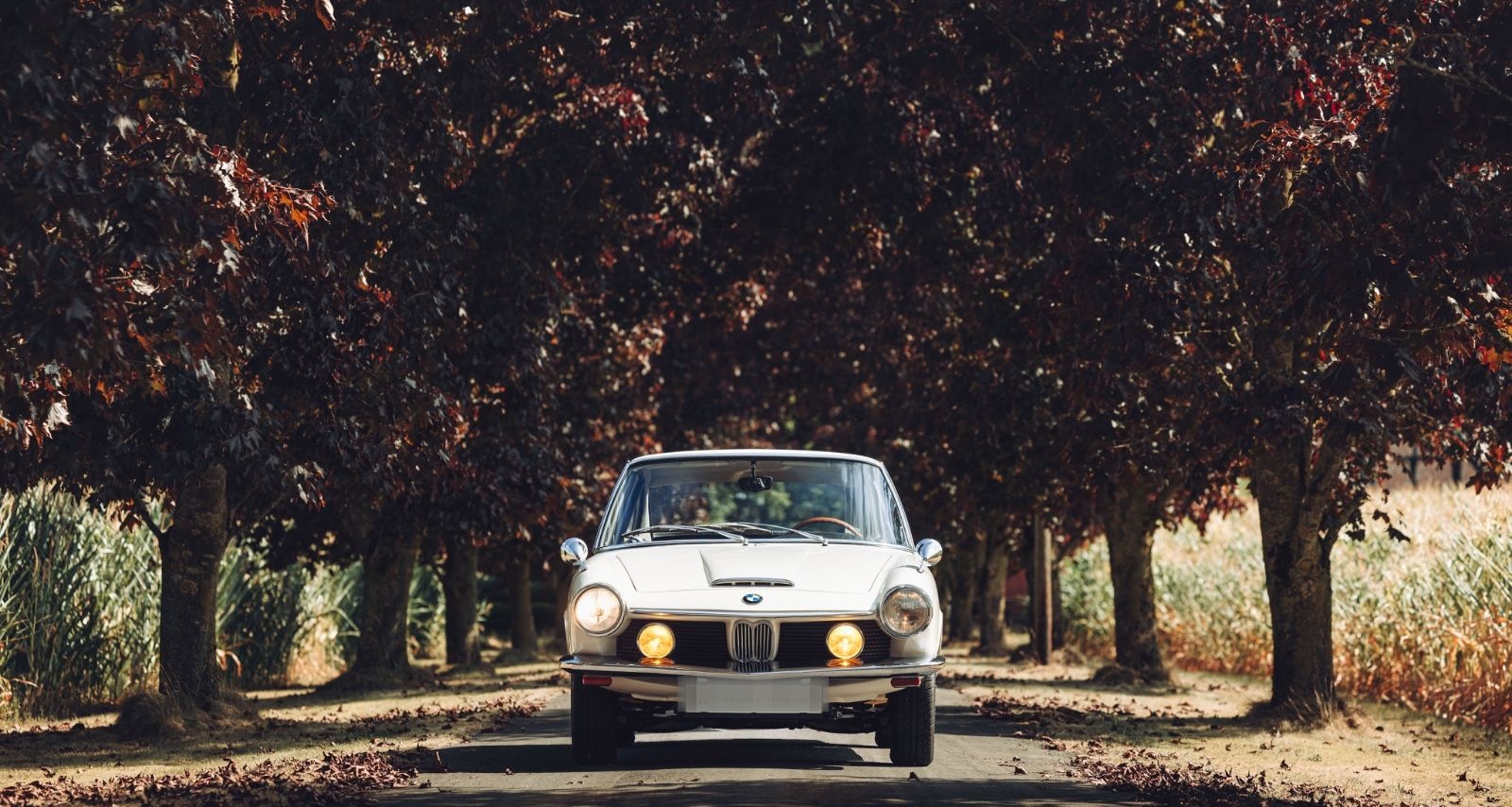 BMW 1600 GT (Glas GT) | Vollrestauriert foto 4