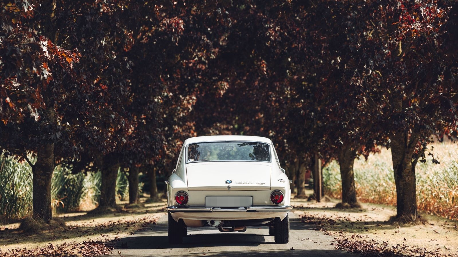 BMW 1600 GT (Glas GT) | Vollrestauriert foto 9