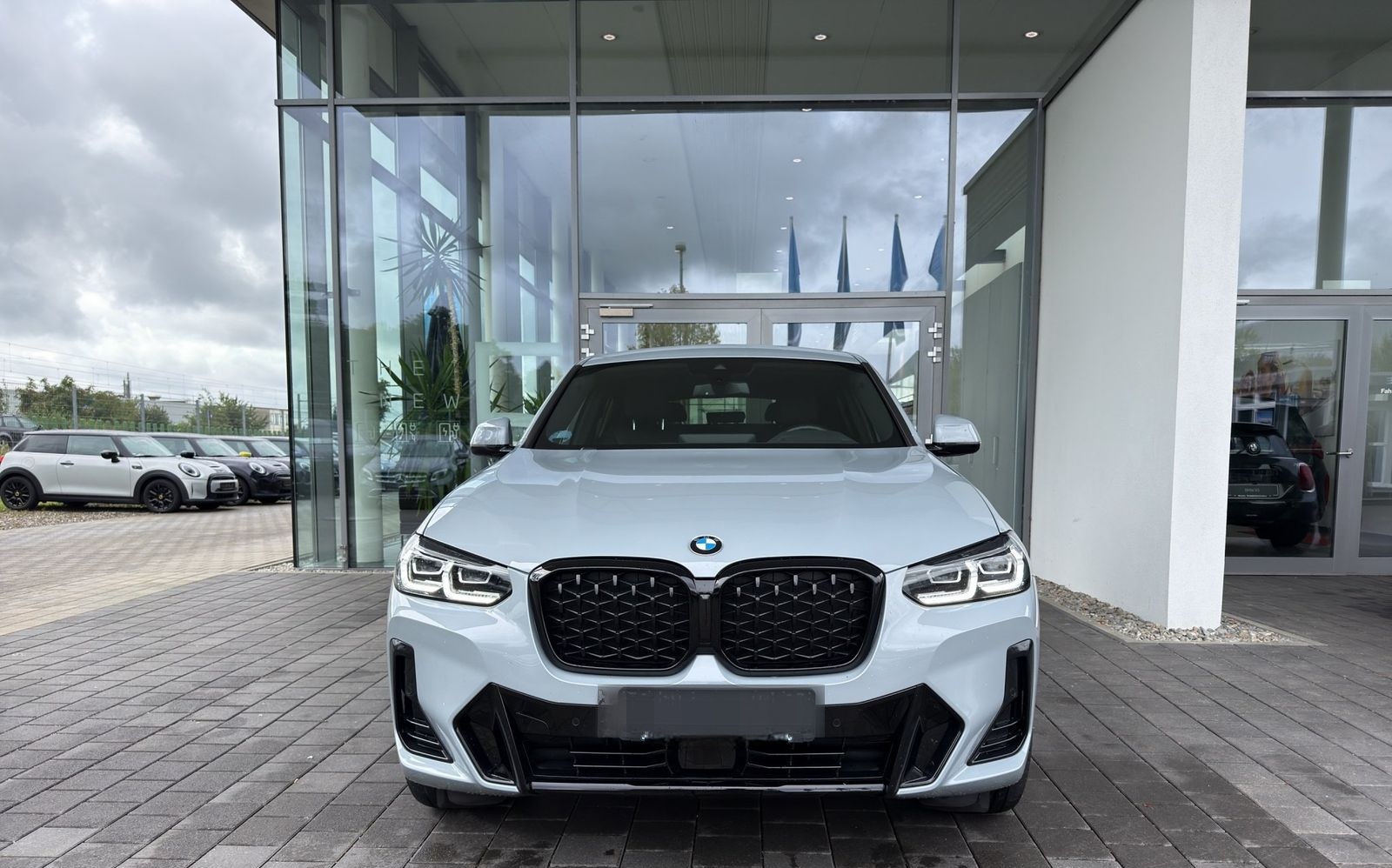 BMW X4 xDrive20d M Sport AHK HUD ACC Lenkradheizung foto 4